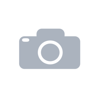 Copic  Branko Doživljaji Nikoletine Bursac